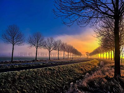 Allee 2Platz2025 DrLSchaffranietz 400x300