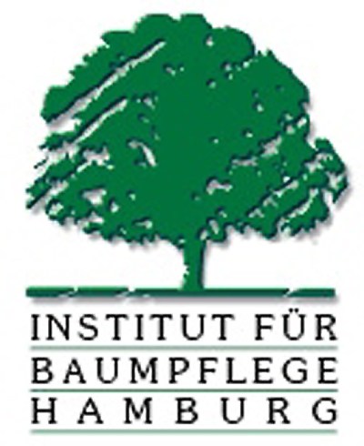 logo ifb hamburg 400x490s