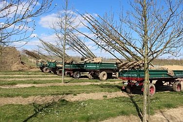 BoBaSt Quelle UniHH Schuett 190408 376x250