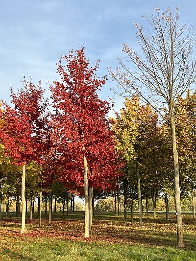 DBPflT2026 Bild2 400x533