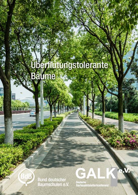 csm Ueberflutungstolerante Gehoelze v6 22a62e27b5 k1