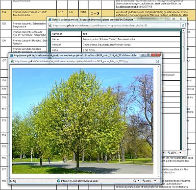 Abb04 Strassenbaumliste online 400x388