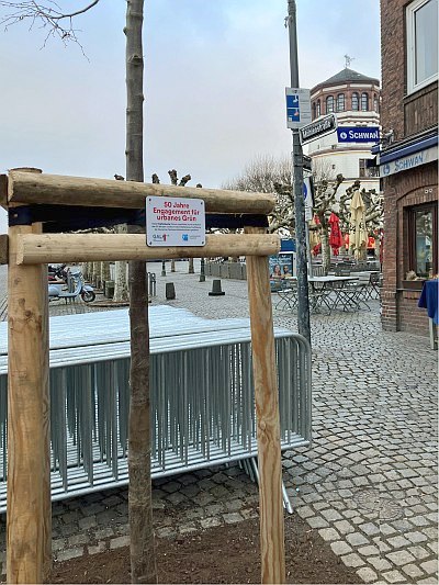 Abb11 JubiBaum Duesseldorf 2026korr 400x533