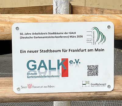Abb25a Schild 50J AK Frankfurt 400x350