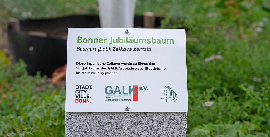 Abb26b Schild 50J AK Bonn 866x440