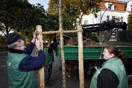 bsu mbms 111025 314 263x176