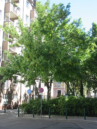 w f pennsylv 220x293