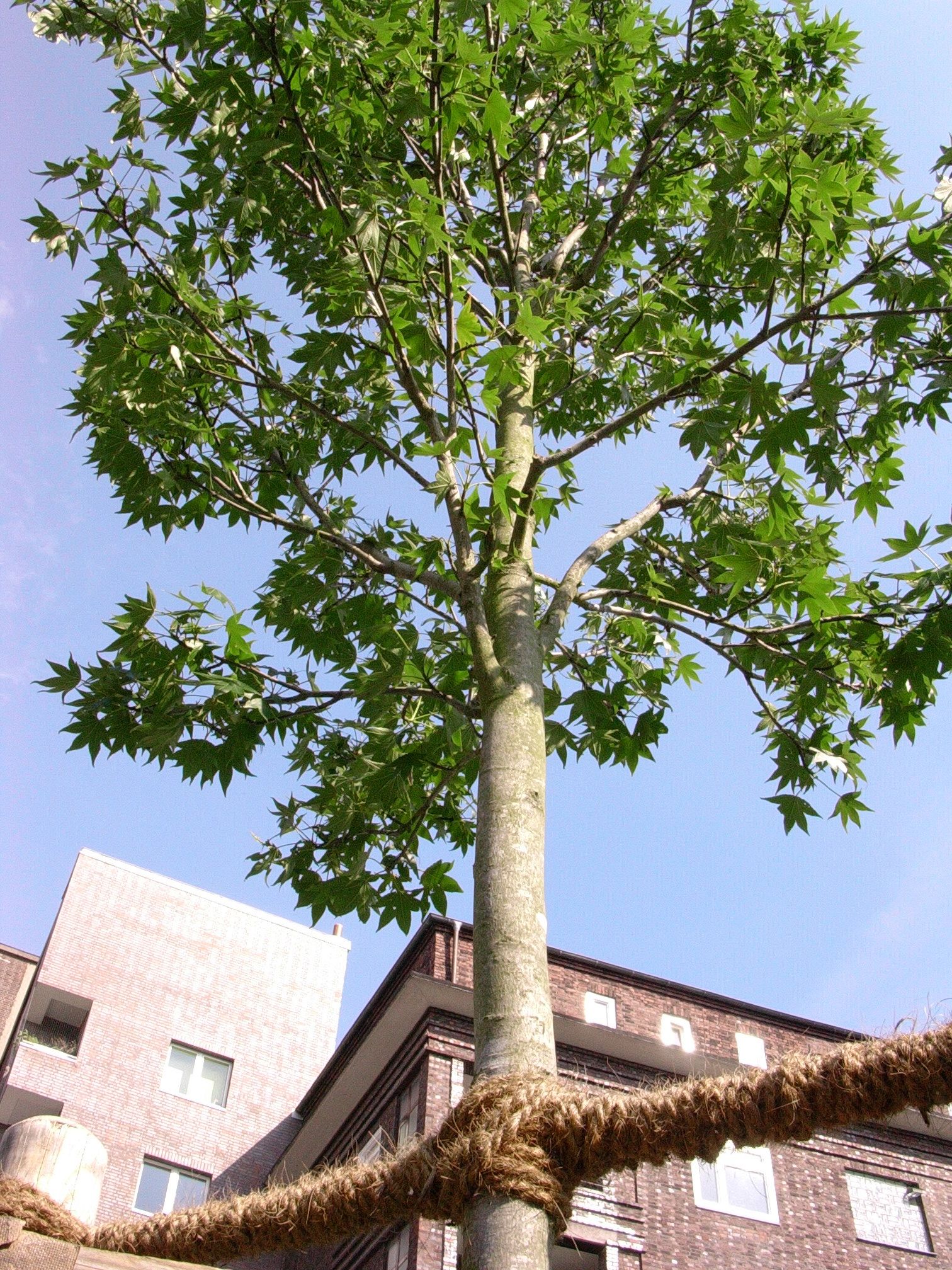 Titelfoto Bewertungskriterien Doobe2006