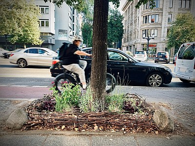 02a Baumfoerderstudie Pinkelstein TotholzHecke InitiativeFritschestr 400x300