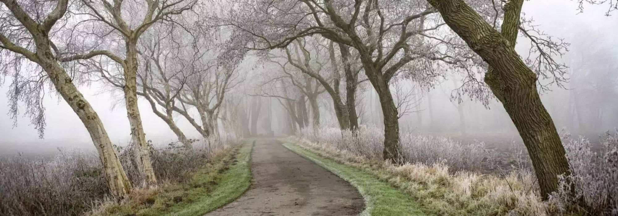 seit 2008 jährlich gekürt vom BUND Mecklenburg-Vorpommern (BUND MV)