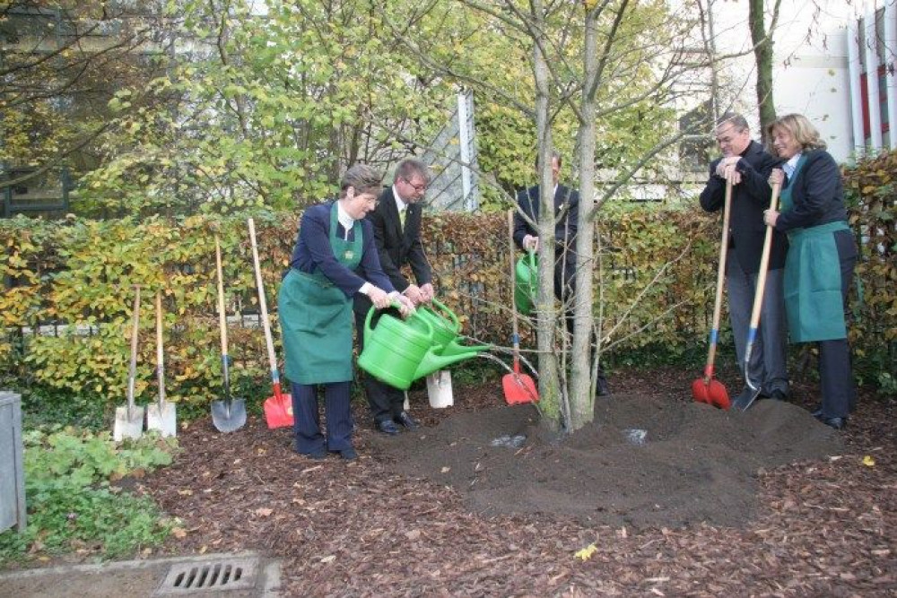 13barz_pflanzung_04_700x466