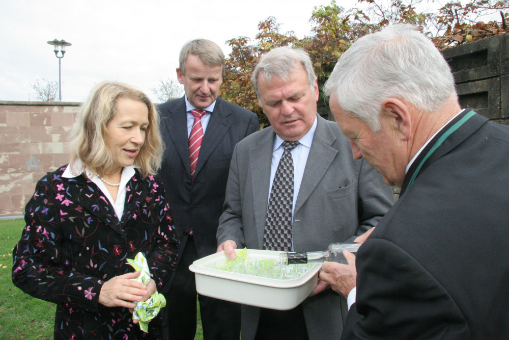 Goldener_Ginkgo_081020_021