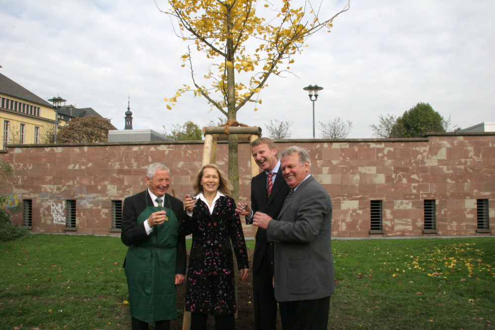 Goldener_Ginkgo_081020_042