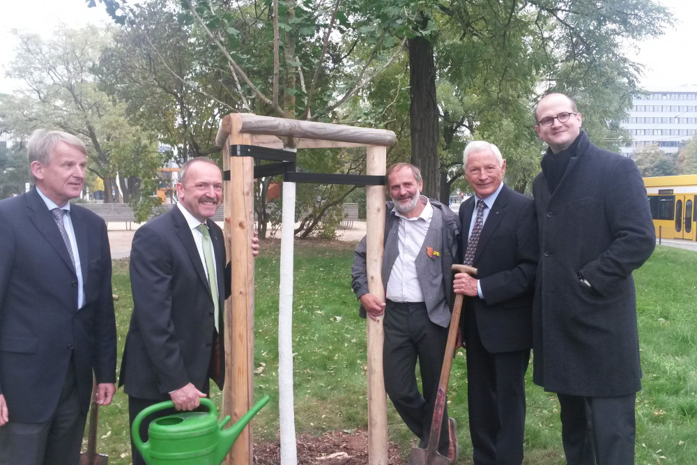 201307_GoldenerGinkgo_Thiel_dgg