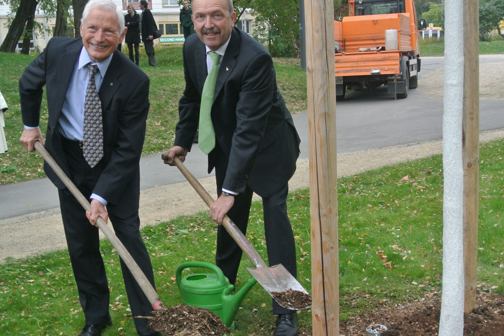 GoldenerGinkgo_Thiel_klettDSC_7384_auss