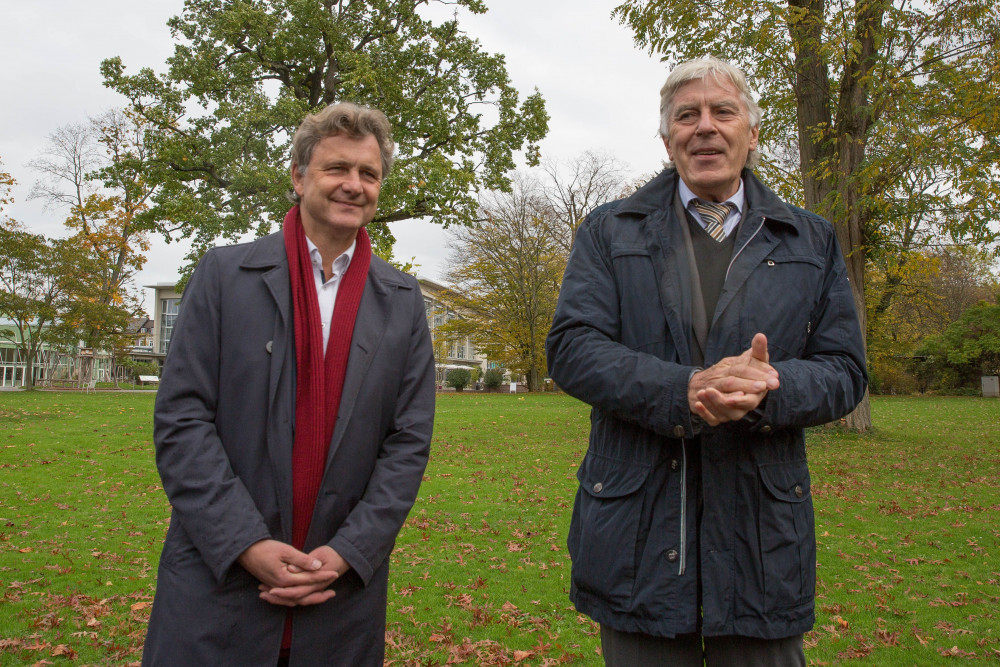 Goldener_Ginkgo_171023_018