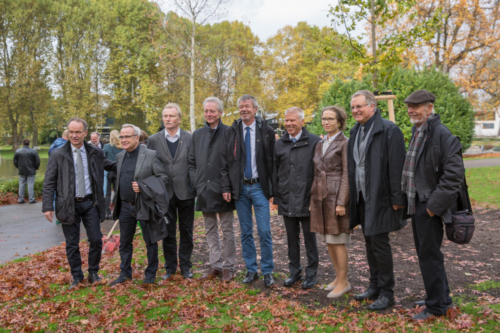 Goldener_Ginkgo_171023_043