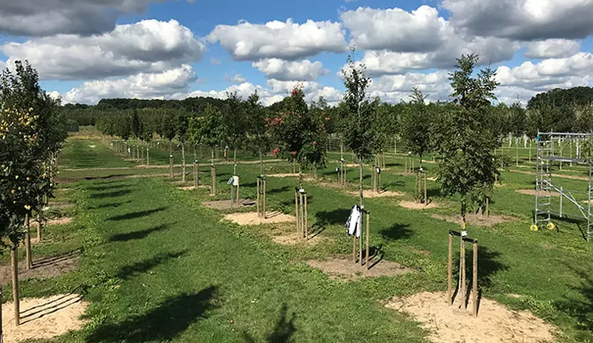 BoBaSt - Hamburger Forschungsvorhaben