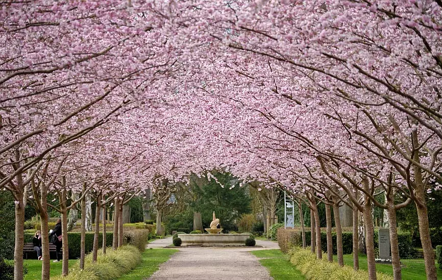 Kieler Gr&uuml;ng&uuml;rtel