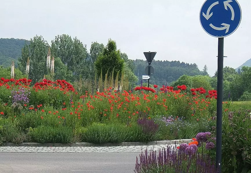 Pestizidfreie Kommune