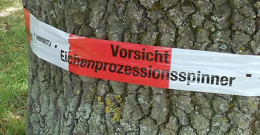 EPS - bundesweite Umfrage 