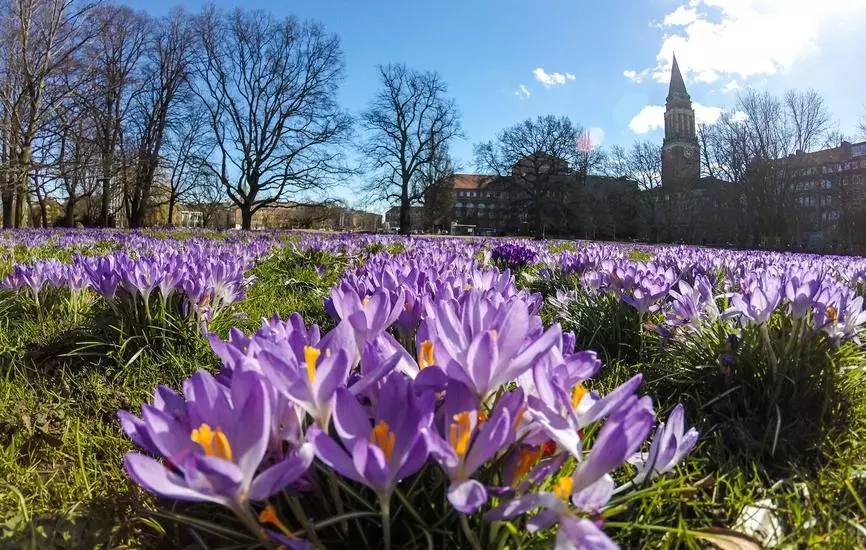Leitfaden Gr&uuml;nfl&auml;chenmanagementsysteme