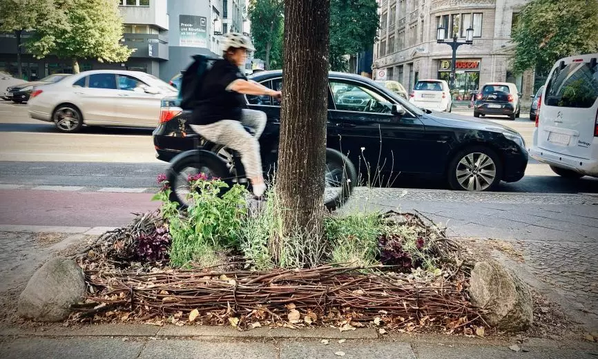 Baumf&ouml;rderstudie 2025