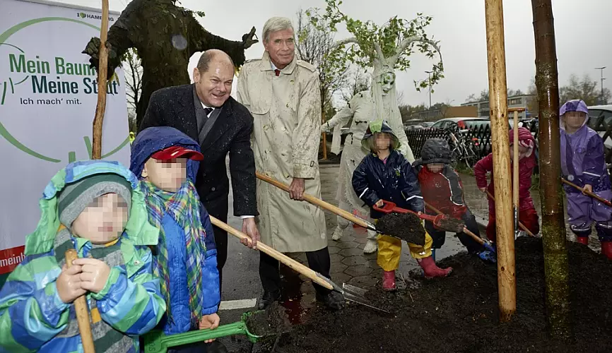 Baumpflanzaktionen &ndash; Masterthesis