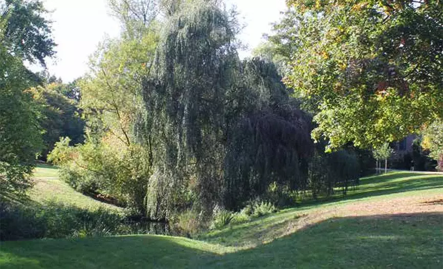 Otto Linne Preis f&uuml;r urbane Landschaftsarchitektur