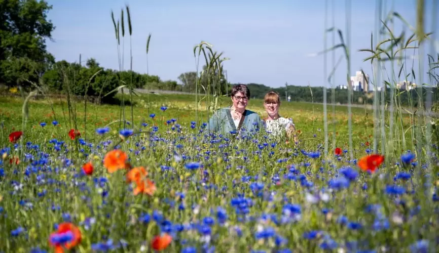 Kompensation in der Landwirtschaft