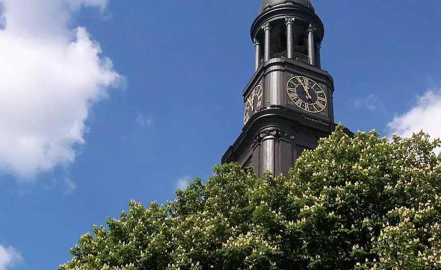 Komplexerkrankung der Rosskastanien