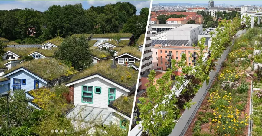 Weltkongress Geb&auml;udegr&uuml;n