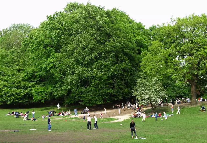 Bundespreis Stadtgr&uuml;n 2024